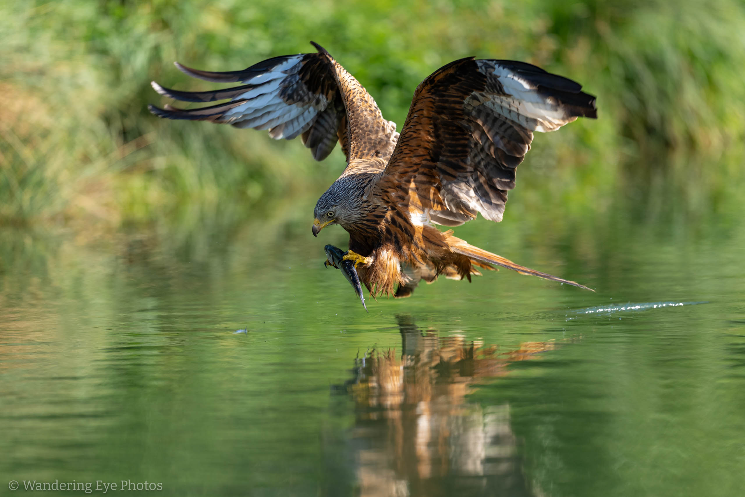 05.16 16.35.59 DSC00367